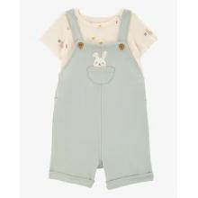 Костюмчик двійка Carter`s