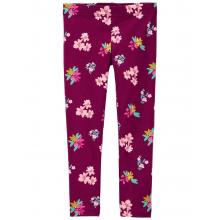 Лосіни Carter`s