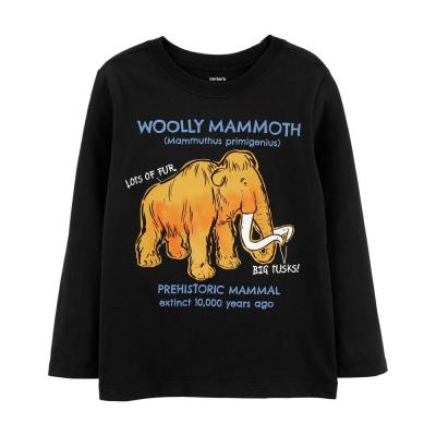 Реглан Carter`s